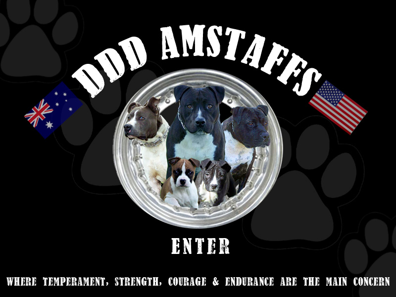 DDDamstaffs